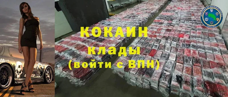 Cocaine Эквадор  купить закладку  Ржев 